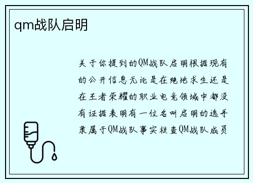 qm战队启明