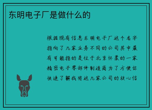 东明电子厂是做什么的